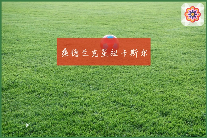 桑德兰克星纽卡斯尔