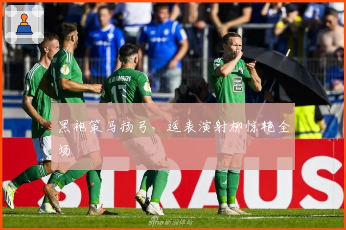 黑袍策马扬弓，适表演射柳惊艳全场