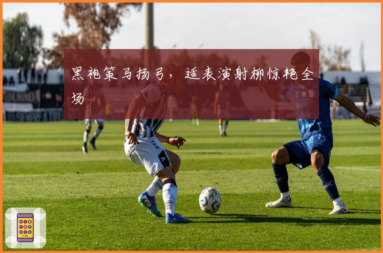 黑袍策马扬弓，适表演射柳惊艳全场