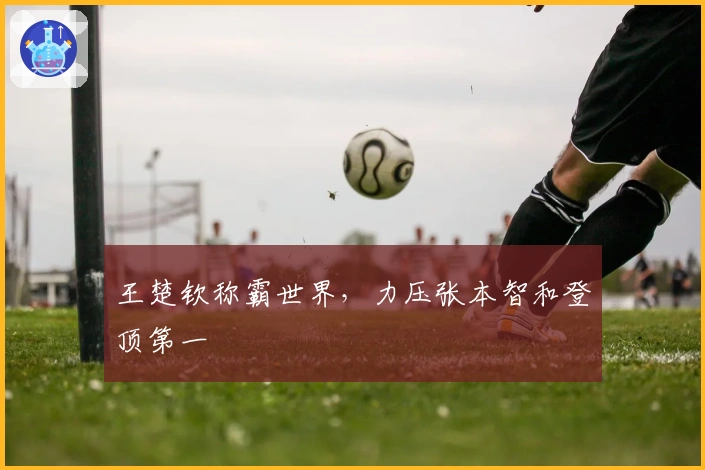 王楚钦称霸世界，力压张本智和登顶第一
